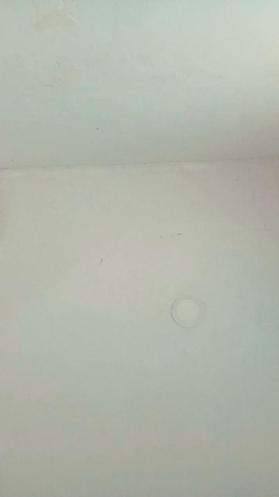 SoloTintaX66T live cam on Cam4