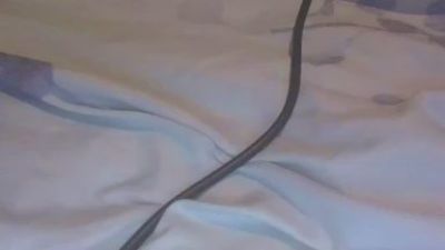 Sophiebabe1 live cam on Cam4