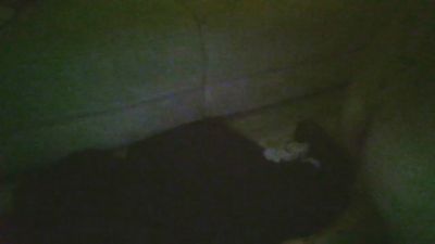 SoumisHotCho live cam on Cam4