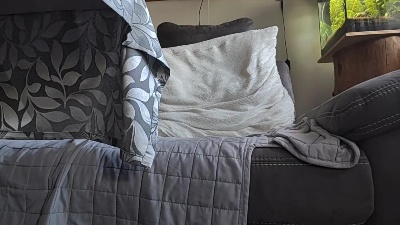 Speedyg38 live cam on Cam4
