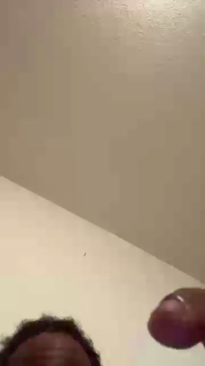 Preview of splashtre