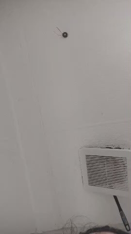 SqueekieAnHappy live cam on Cam4