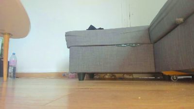 SquirtyLady41 live cam on Cam4
