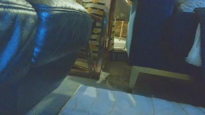 Staceyxlovegun live cam on Cam4