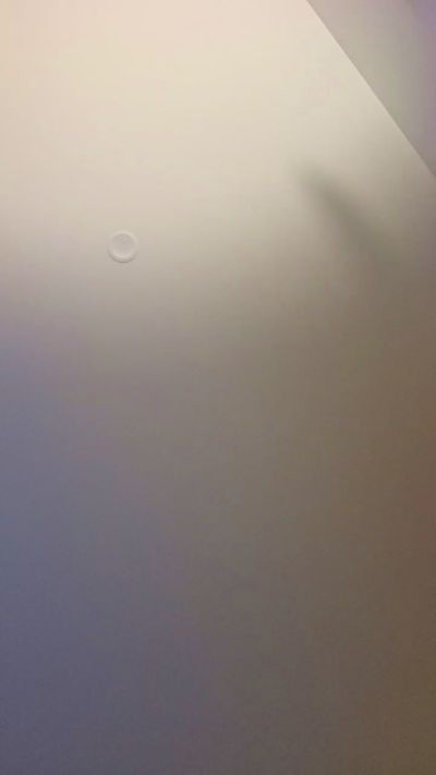 Staceyxlovegun live cam on Cam4