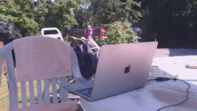 Stachemco live cam on Cam4