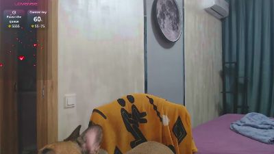 StacyDavise_ live cam on Cam4