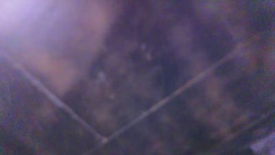 Stacy_Watts live cam on Cam4