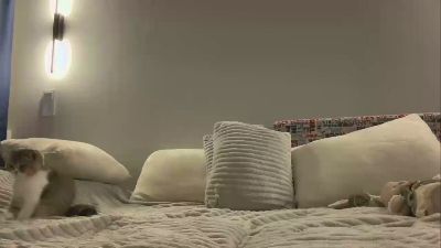 StasiaSarria live cam on Cam4