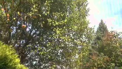 Steamjocky777 live cam on Cam4