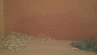 Steviowonder live cam on Cam4