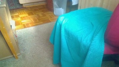 Strolchibaer live cam on Cam4