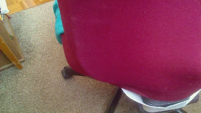 Strolchibaer live cam on Cam4