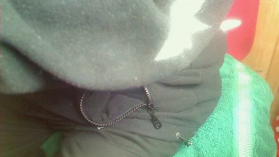 Strolchibaer live cam on Cam4