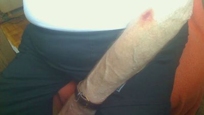 Strolchibaer live cam on Cam4