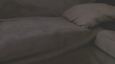 StudlyHardwood live cam on Cam4