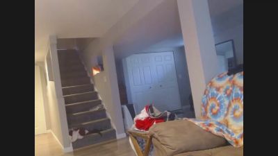 StudlyHardwood live cam on Cam4