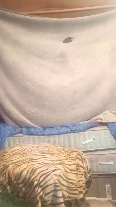 Stuntcockdouble live cam on Cam4