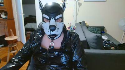 Suitedpup live cam on Cam4