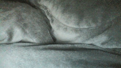 Sweet_mellow live cam on Cam4