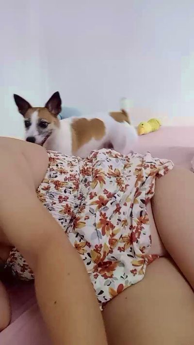 Sweetasian74 live cam on Cam4