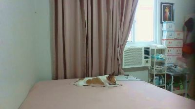 Sweetasian74 live cam on Cam4