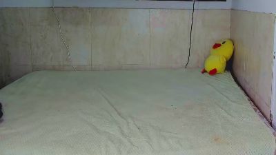 TINK_KERMELLX live cam on Cam4