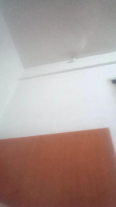 TONI_XL live cam on Cam4