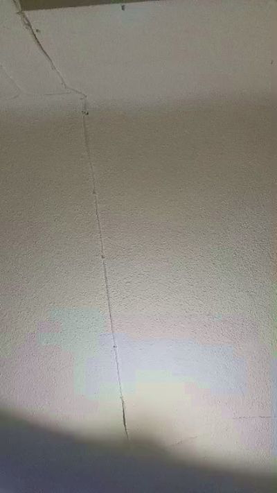 Profile and Statistics for TR3c3_19 on Cam4