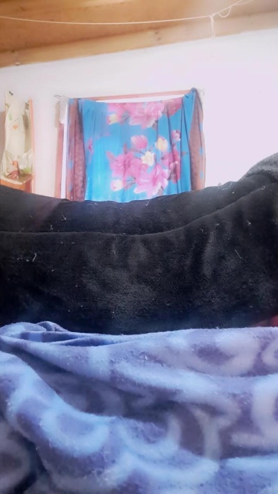 TUHARDSEXY live cam on Cam4