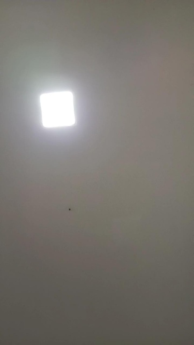 TUY20 live cam on Cam4