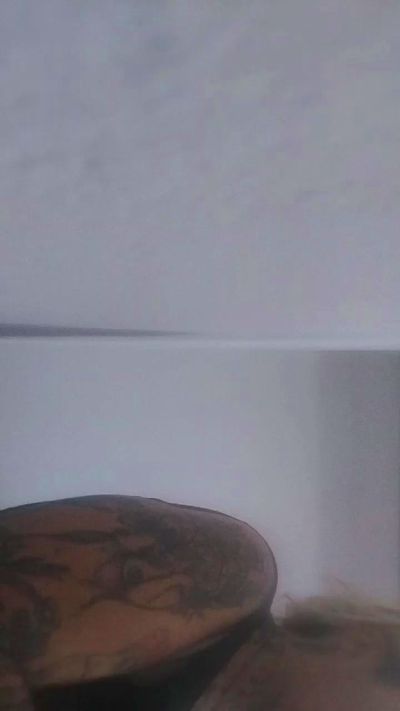 Taladra live cam on Cam4