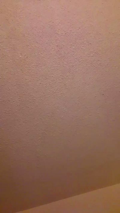 Tanesha1 live female webcam from United States