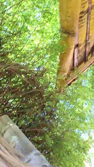 Tania__honey live cam on Cam4