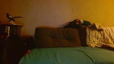 Tannileinchen3 live cam on Cam4