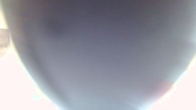 Tannileinchen3 live cam on Cam4
