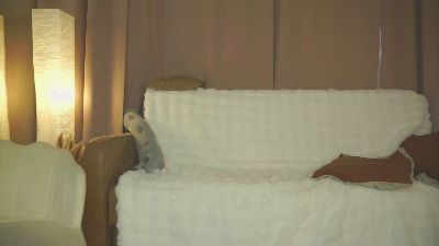 TateEvett live cam on Cam4