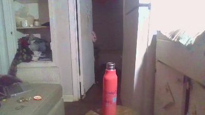 Tazzdaoboddie live cam on Cam4