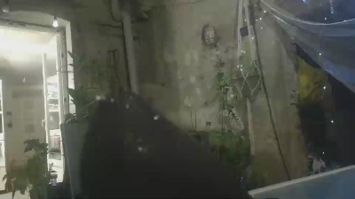 Teamtouch live cam on Cam4