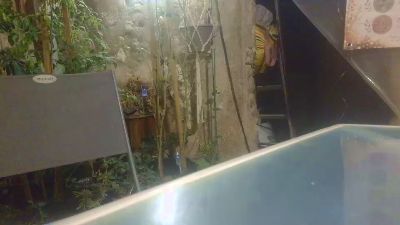Teamtouch live cam on Cam4