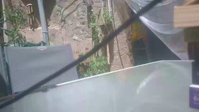 Teamtouch live cam on Cam4