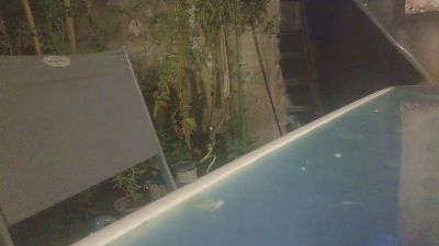 Teamtouch live cam on Cam4