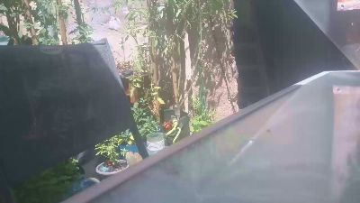 Teamtouch live cam on Cam4