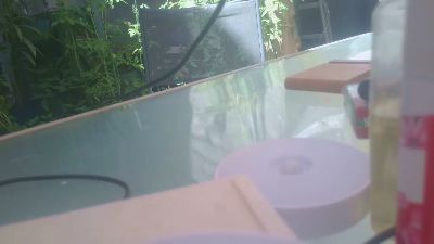 Teamtouch live cam on Cam4