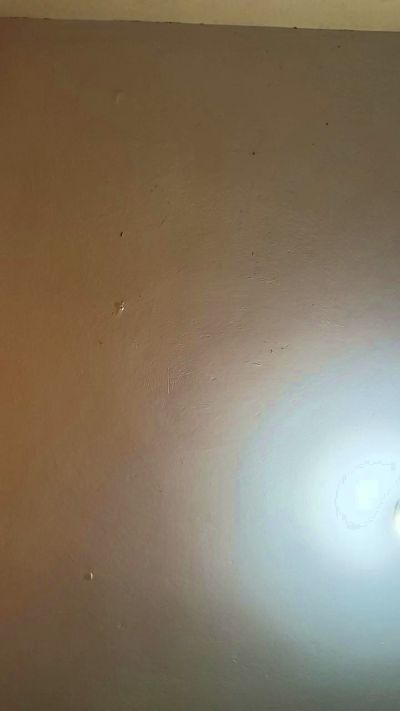 TeenhotAlbert_P live cam on Cam4