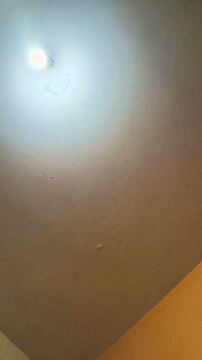 TeenhotAlbert_P live cam on Cam4