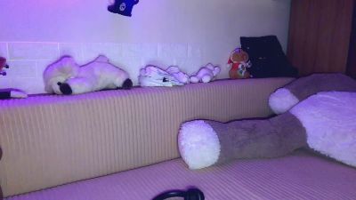 TeraReith live cam on Cam4