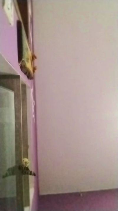 Teresitaonfire live cam on Cam4