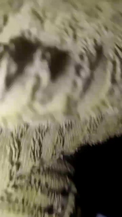 Tesao_Maximus88