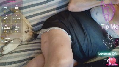 TettonaPelosa live cam on Cam4